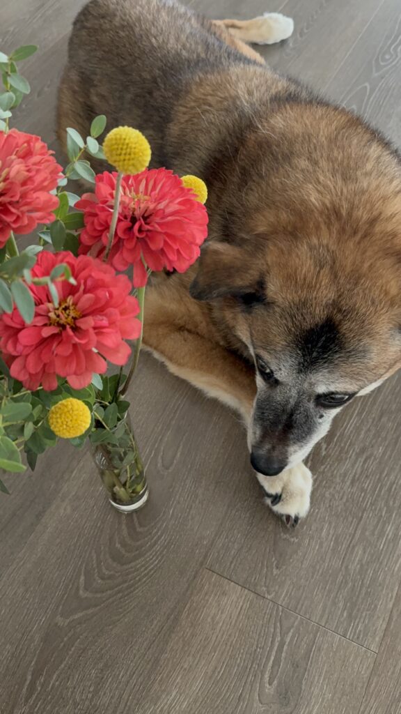 Our Sweet Deacon (forever 14) with a Mini Bouquet of Fresh Flowers in a Glass Vase.