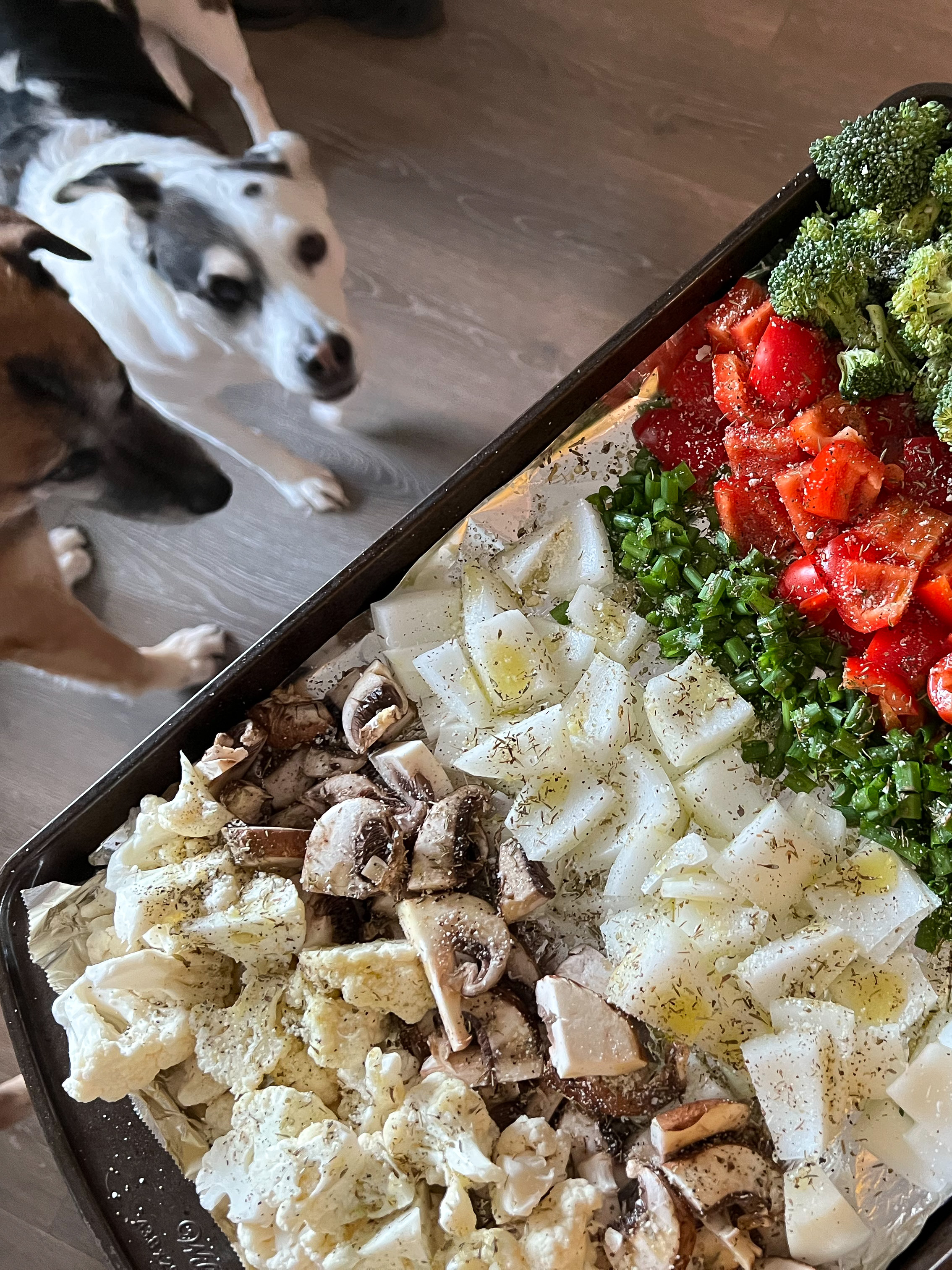 Sheet pan food prep with fresh vegetables, including cauliflower, tomatoes, broccoli, mushrooms, and onions, with Deacon and Chloe, our pups, stopping by to take a look.